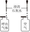 菁優(yōu)網