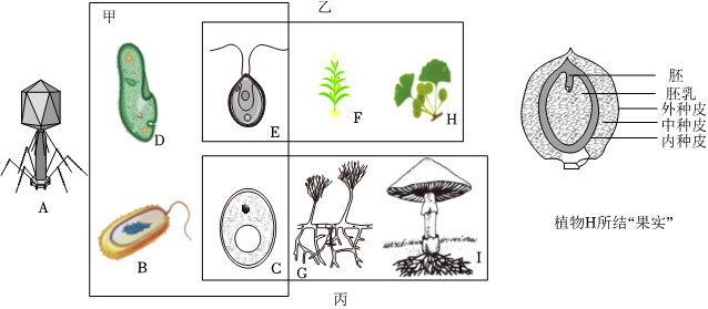 菁優(yōu)網