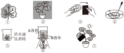 菁優(yōu)網