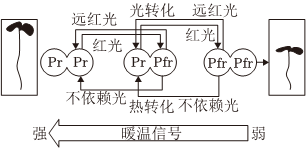 菁優(yōu)網