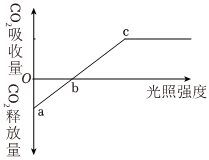 菁優(yōu)網