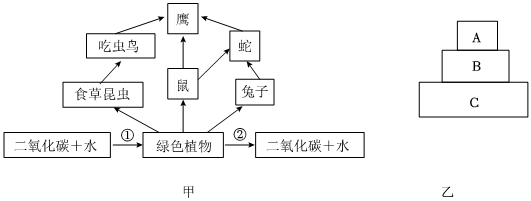 菁優(yōu)網(wǎng)