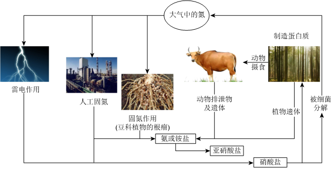 菁優(yōu)網(wǎng)