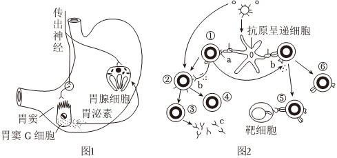 菁優(yōu)網(wǎng)