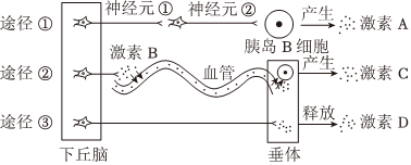 菁優(yōu)網