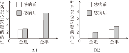 菁優(yōu)網