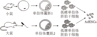 菁優(yōu)網