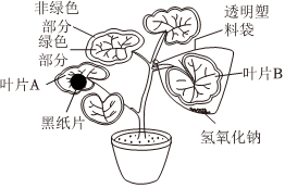 菁優(yōu)網(wǎng)