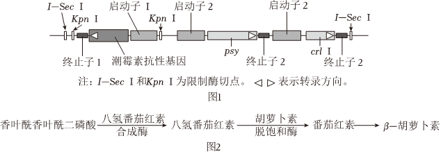 菁優(yōu)網