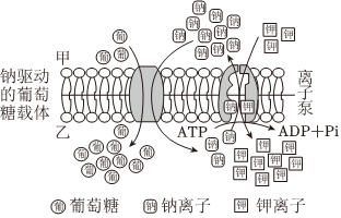 菁優(yōu)網(wǎng)