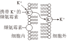 菁優(yōu)網(wǎng)