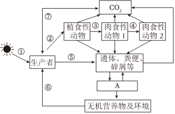 菁優(yōu)網