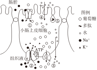 菁優(yōu)網