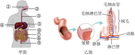 菁優(yōu)網(wǎng)