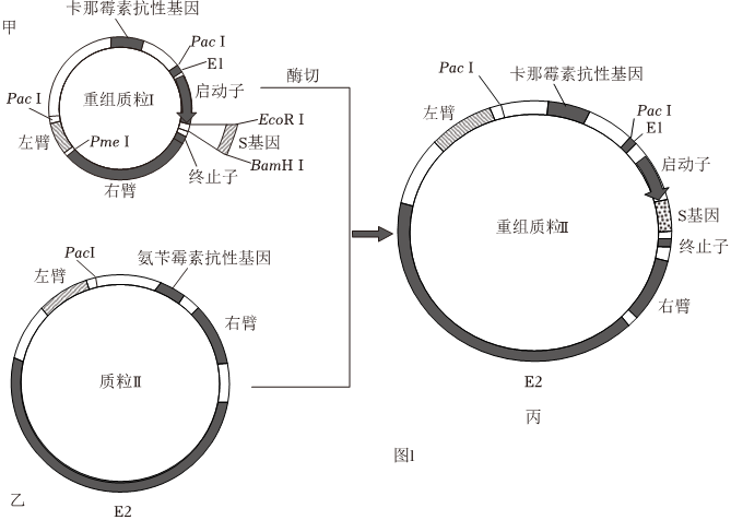 菁優(yōu)網