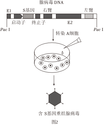 菁優(yōu)網