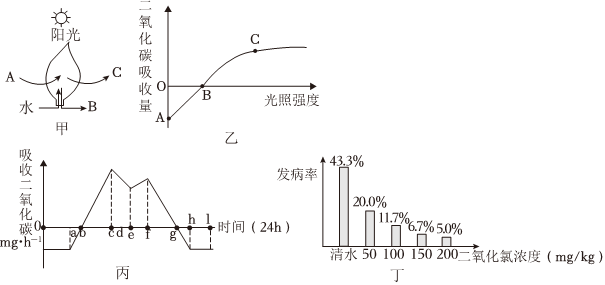 菁優(yōu)網(wǎng)