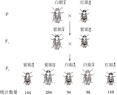 菁優(yōu)網