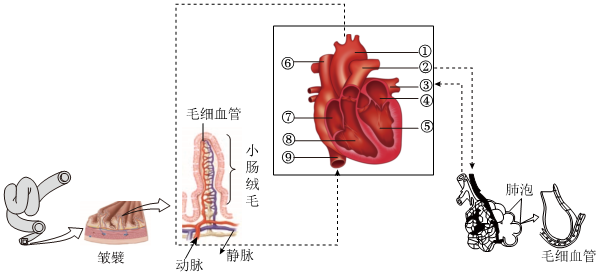 菁優(yōu)網(wǎng)