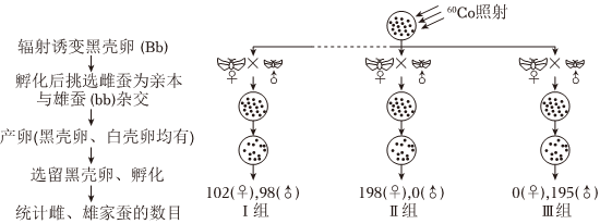 菁優(yōu)網