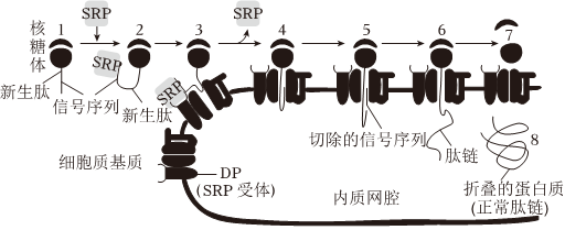 菁優(yōu)網