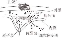 菁優(yōu)網