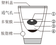 菁優(yōu)網