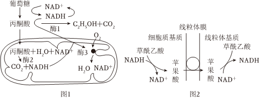 菁優(yōu)網