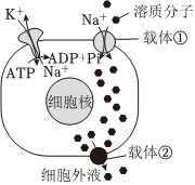 菁優(yōu)網