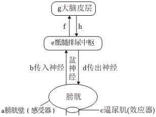 菁優(yōu)網