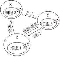 菁優(yōu)網