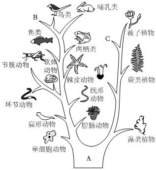 菁優(yōu)網(wǎng)