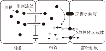 菁優(yōu)網