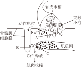 菁優(yōu)網(wǎng)