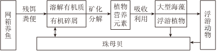 菁優(yōu)網