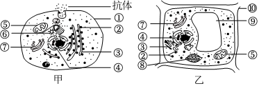 菁優(yōu)網(wǎng)