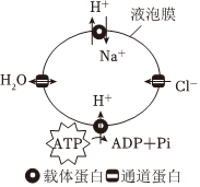 菁優(yōu)網